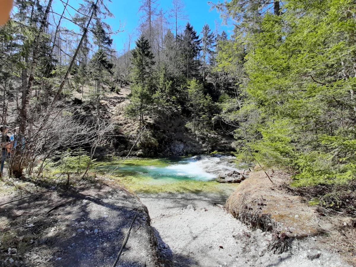 Haasenhaus Villa Hinterstoder Kültér fotó